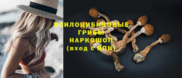 кокс Гусиноозёрск