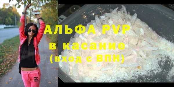 ГАЛЛЮЦИНОГЕННЫЕ ГРИБЫ Горно-Алтайск