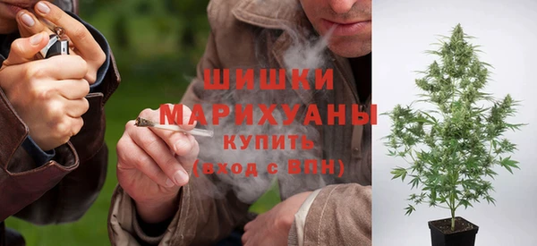 jwh Гусев