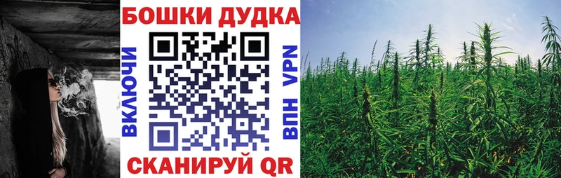 Бошки Шишки сатива  купить наркоту  Таганрог 